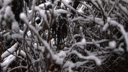 Similar image 22504025