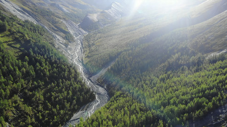 Similar image 22504069