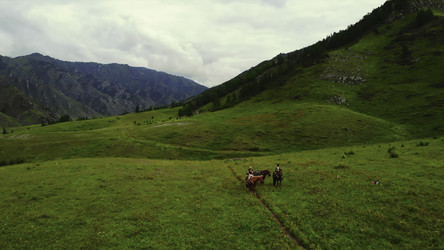 Similar image 22504084