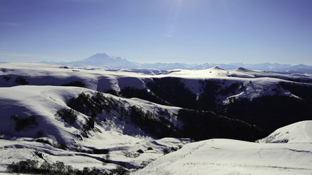 Similar image 22504100