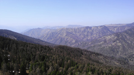 Similar image 22504236