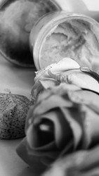 Similar image 22489918