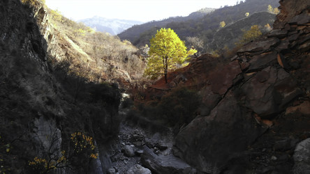 Similar image 22531053