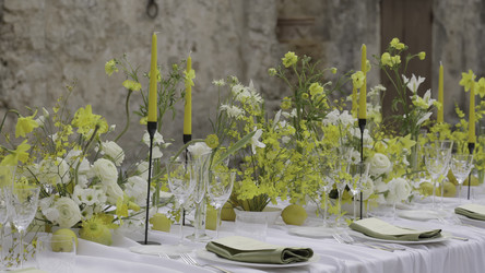 Similar image 22531278