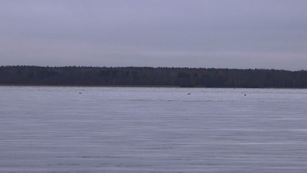 Similar image 22502728