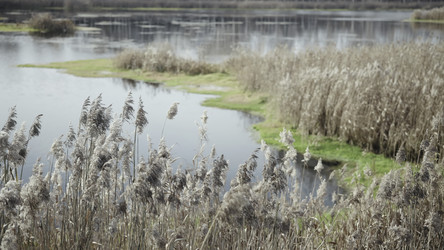 Similar image 22502804