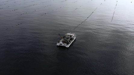 Similar image 22502906