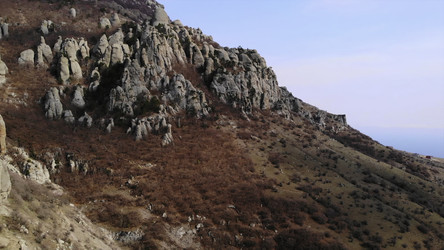 Similar image 22504011