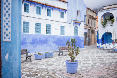 Similar image 22528253