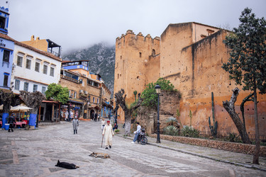 Similar image 22528315
