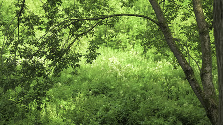 Similar image 22531129