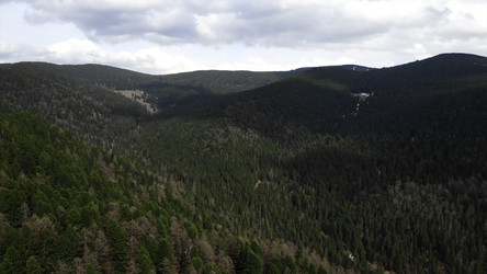 Similar image 22531281