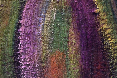 Similar image 22495570