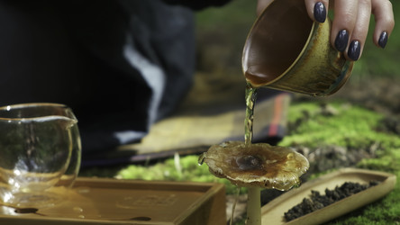 Similar image 22531496