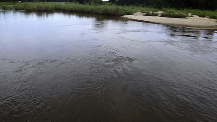 Similar image 22531525