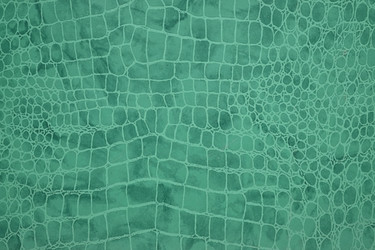 Similar image 22495615