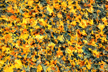 Similar image 22494747