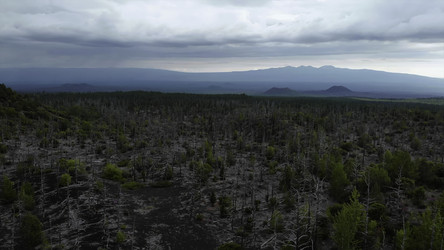 Similar image 22503028