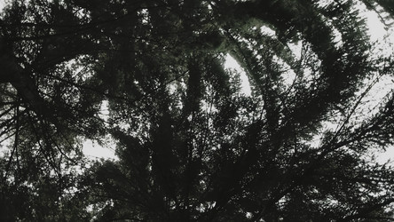 Similar image 22504148