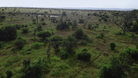 Similar image 22504194