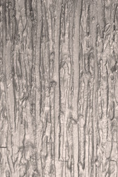 Similar image 22495376