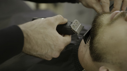 Similar image 22502021