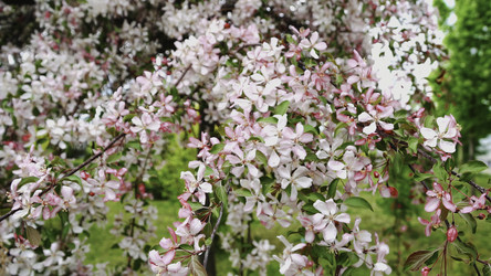 Similar image 22502068