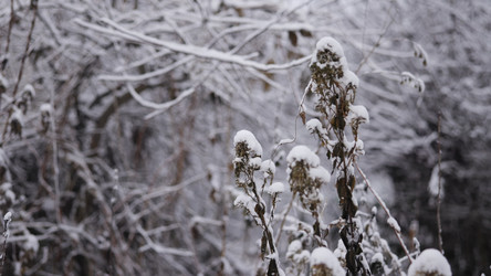 Similar image 22502101