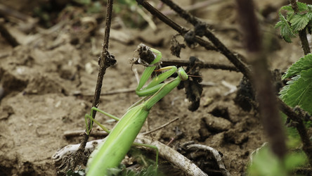 Similar image 22502352