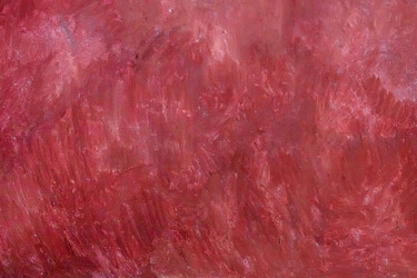 Similar image 22494867