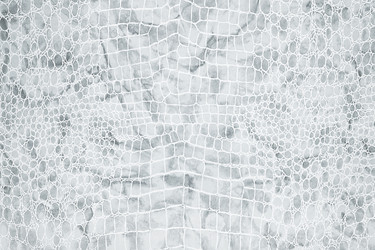 Similar image 22494869