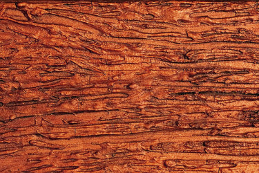 Similar image 22495031