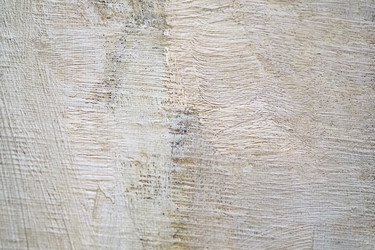 Similar image 22495062