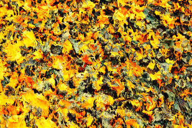 Similar image 22495122