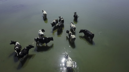 Similar image 22504406