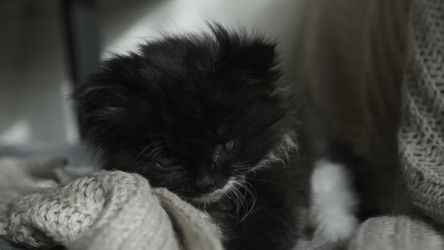 Similar image 22504417