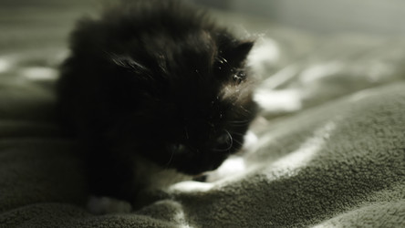 Similar image 22504553