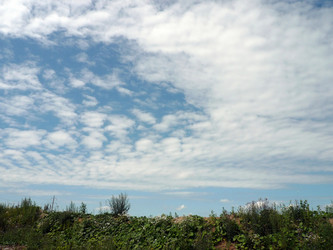 Similar image 22489922