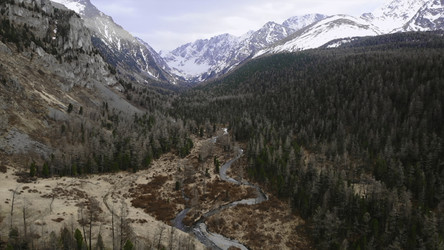 Similar image 22504705