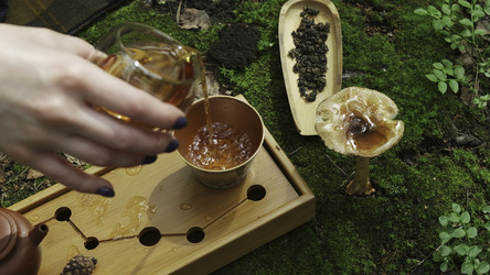 Similar image 22504734