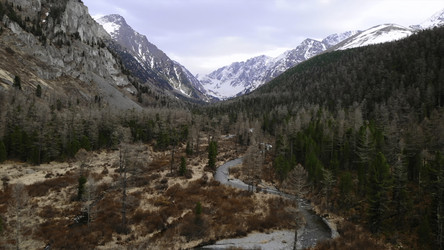 Similar image 22504748