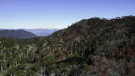 Similar image 22504749