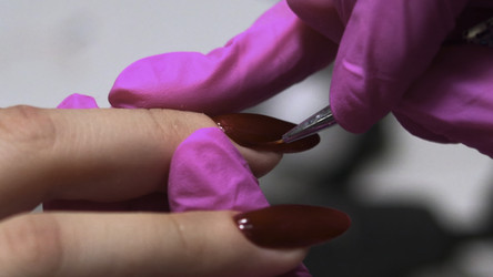 Similar image 22531009