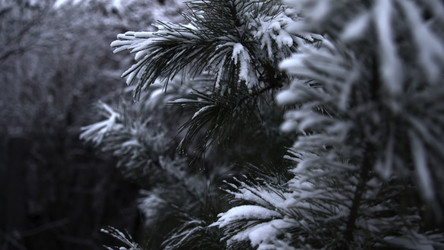 Similar image 22531203