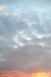 Similar image 22489923