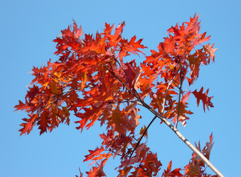 Similar image 22489939