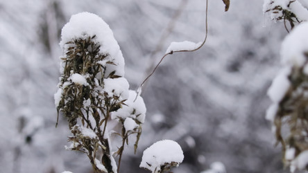 Similar image 22531570