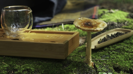 Similar image 22531596