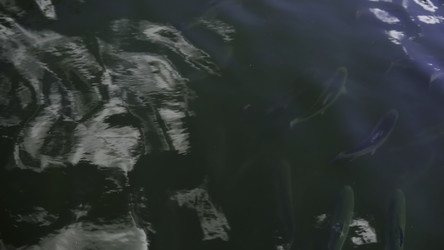 Similar image 22502160