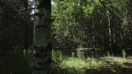 Similar image 22502234